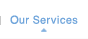 Our Services